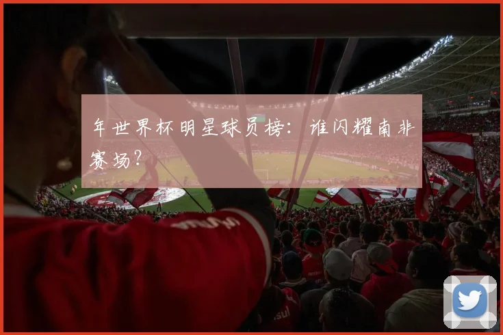 年世界杯明星球员榜：谁闪耀南非赛场？